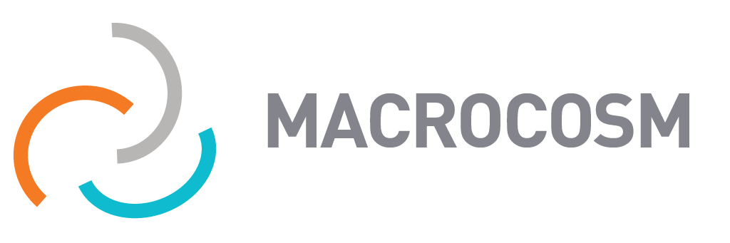 Macrocosm Services & Solutions Logo